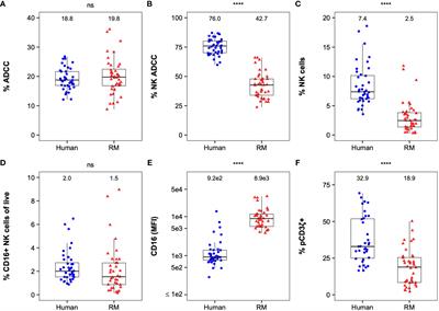 Multivariate analysis of FcR-mediated NK cell functions identifies unique clustering among humans and rhesus macaques
